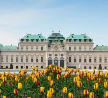 Beč i Parndorf Mala 6