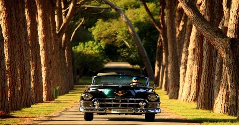 Opatija-Rijeka-Pula-Brijuni-Trst 8